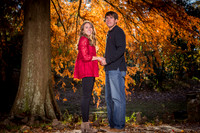 prints (34 of 70)