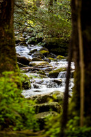 Landscape Portfolio